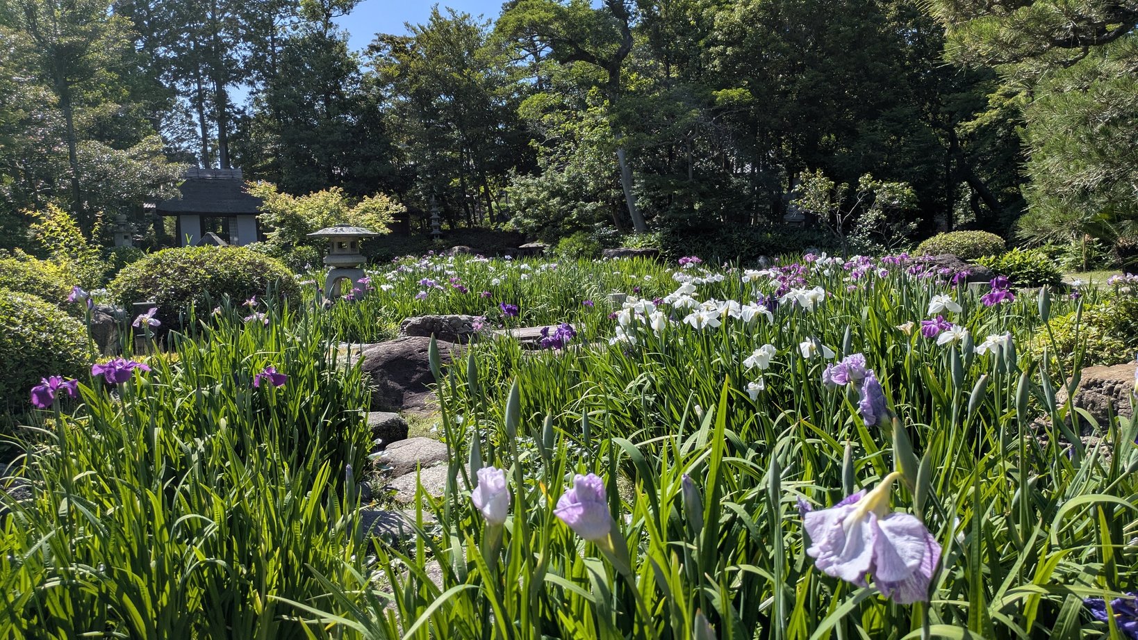 花入　景徳鎮　薄型 Hasui 巴水: Winter Moon over Toyama Plain 戸山ヶ原 (Sold