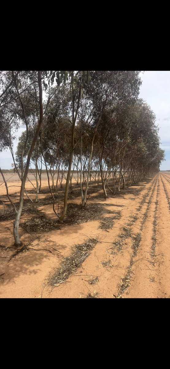 Looking at removing a few alley ways. Any suggestions on the best way about it.