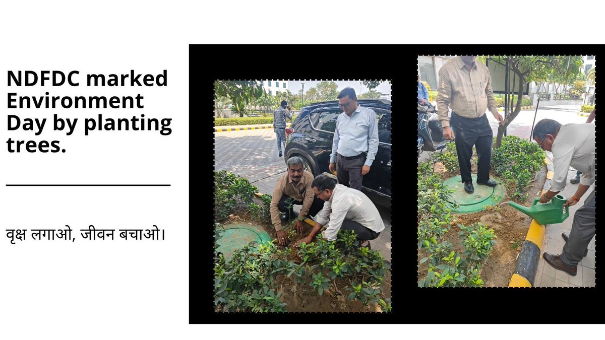 On #WorldEnvironmentDay, NDFDC took a green step forward by planting trees to nurture a sustainable future. Together, we grow a greener India. 🌳

 #GenerationRestoration #EnvironmentDay2025