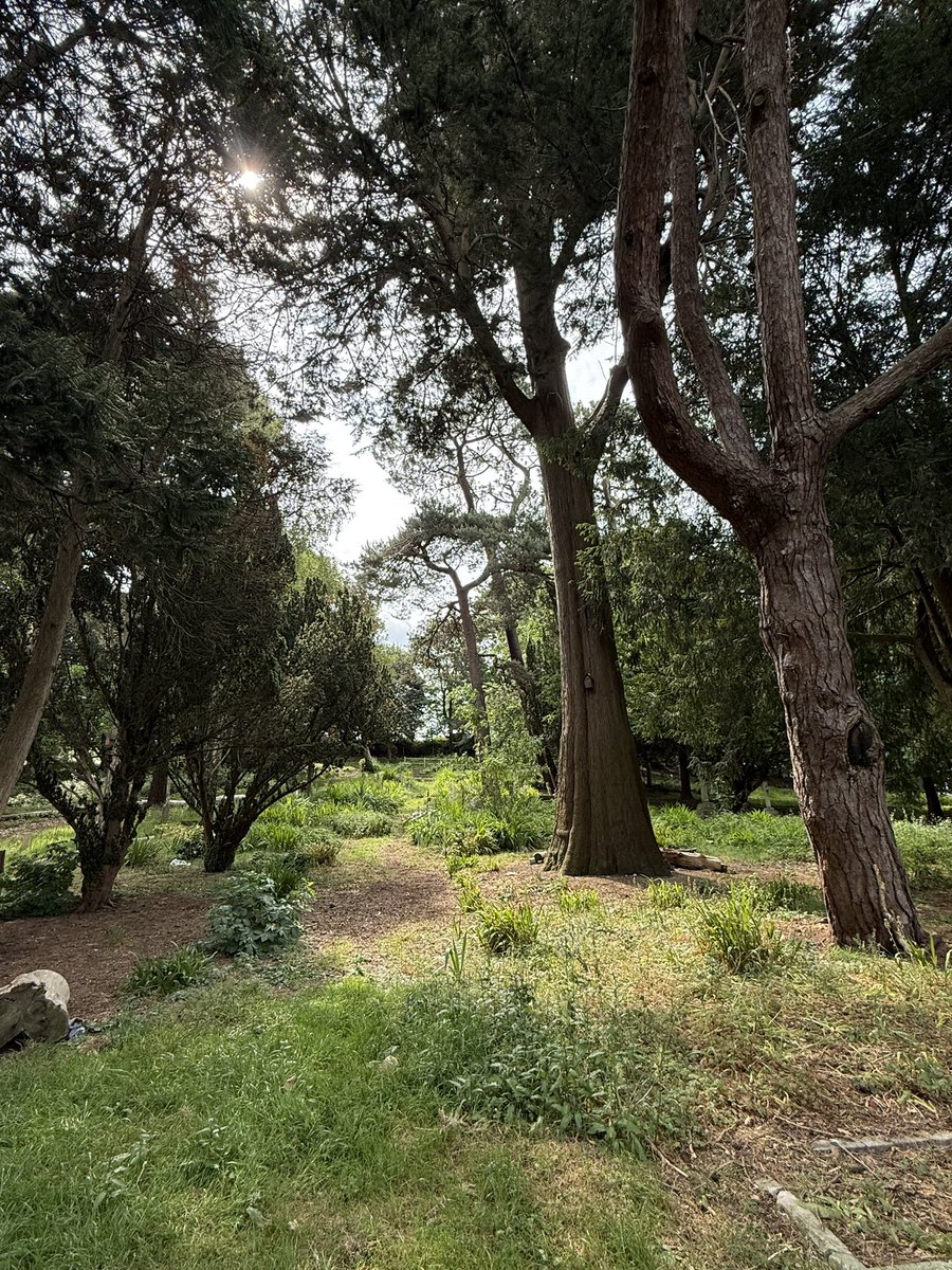 Had an incredible time visiting Bournemouth yesterday and seeing Mary Shelley’s final resting place ✨✨ One of the prettiest churchyards I’ve ever seen!
