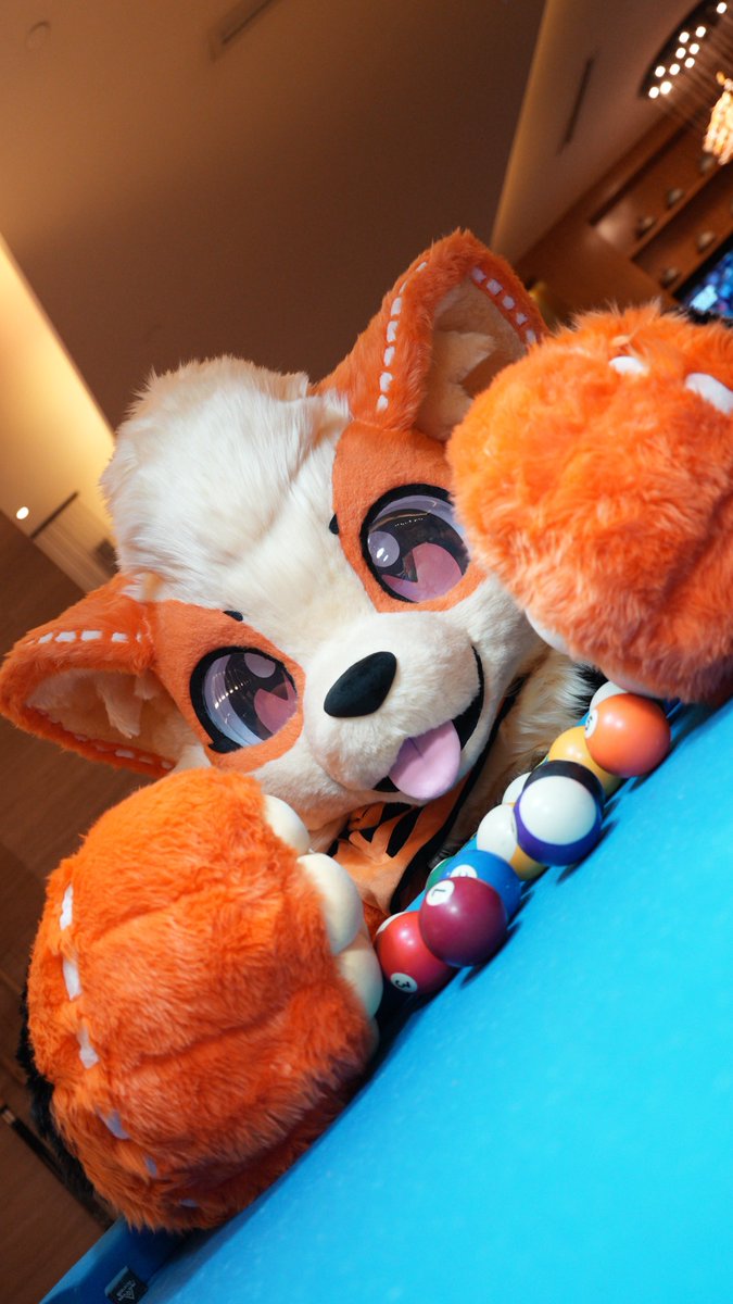 No one’s allowed to take my ball! It’s mine, so there! Hmph~ 🐾🎱