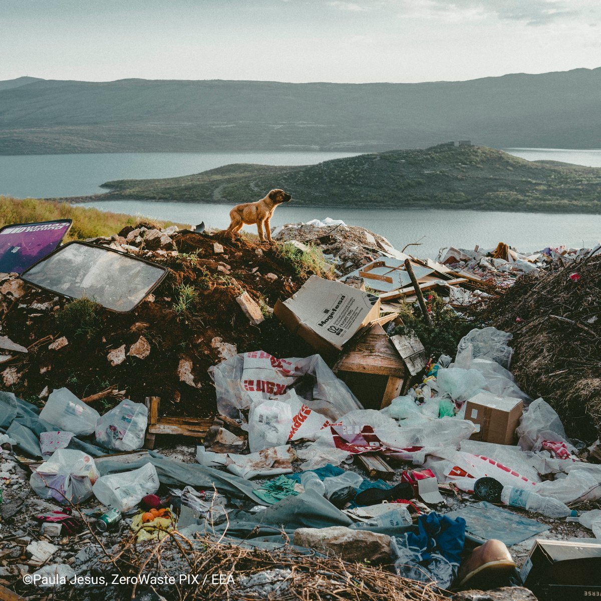 EU EnvironmentAgency (@euenvironment) on Twitter photo 🌍 Happy #WorldEnvironmentDay!
Across Europe, we are rethinking plastics – reducing waste, cleaning up rivers & coasts, and moving towards circular solutions.
At <a href="/EUEnvironment/">EU EnvironmentAgency</a>, we track plastic flows & support action to #BeatPlasticPollution 💚
#CircularEconomy #Environment 🌍 Happy #WorldEnvironmentDay!
Across Europe, we are rethinking plastics – reducing waste, cleaning up rivers & coasts, and moving towards circular solutions.
At <a href="/EUEnvironment/">EU EnvironmentAgency</a>, we track plastic flows & support action to #BeatPlasticPollution 💚
#CircularEconomy #Environment