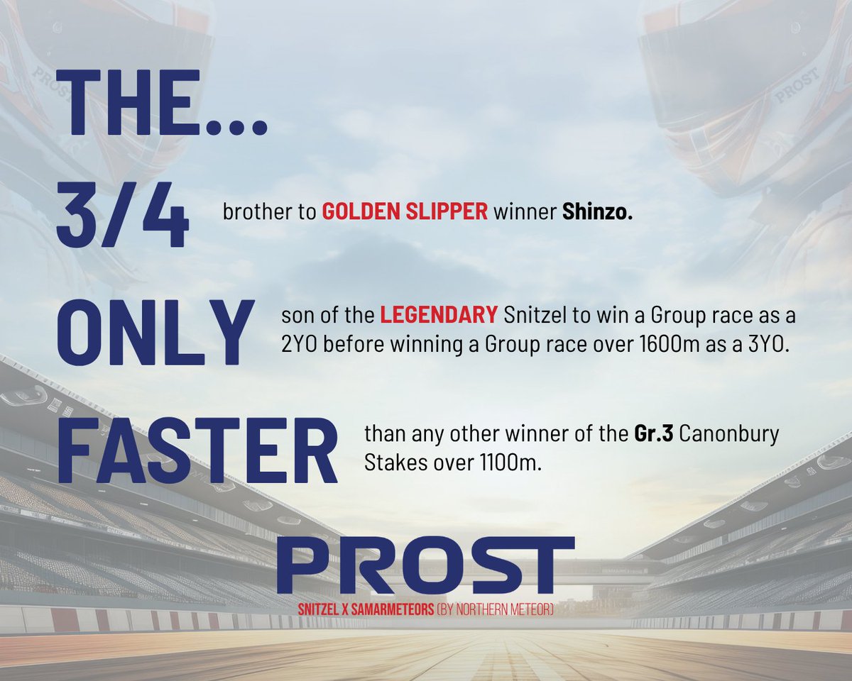 PROST is...... 🏎💨
Standing this season for $13,200 inc gst

#Prost
#TheFormula
#AquisStallions