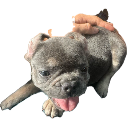 TheFarmacistCrypto tweet media