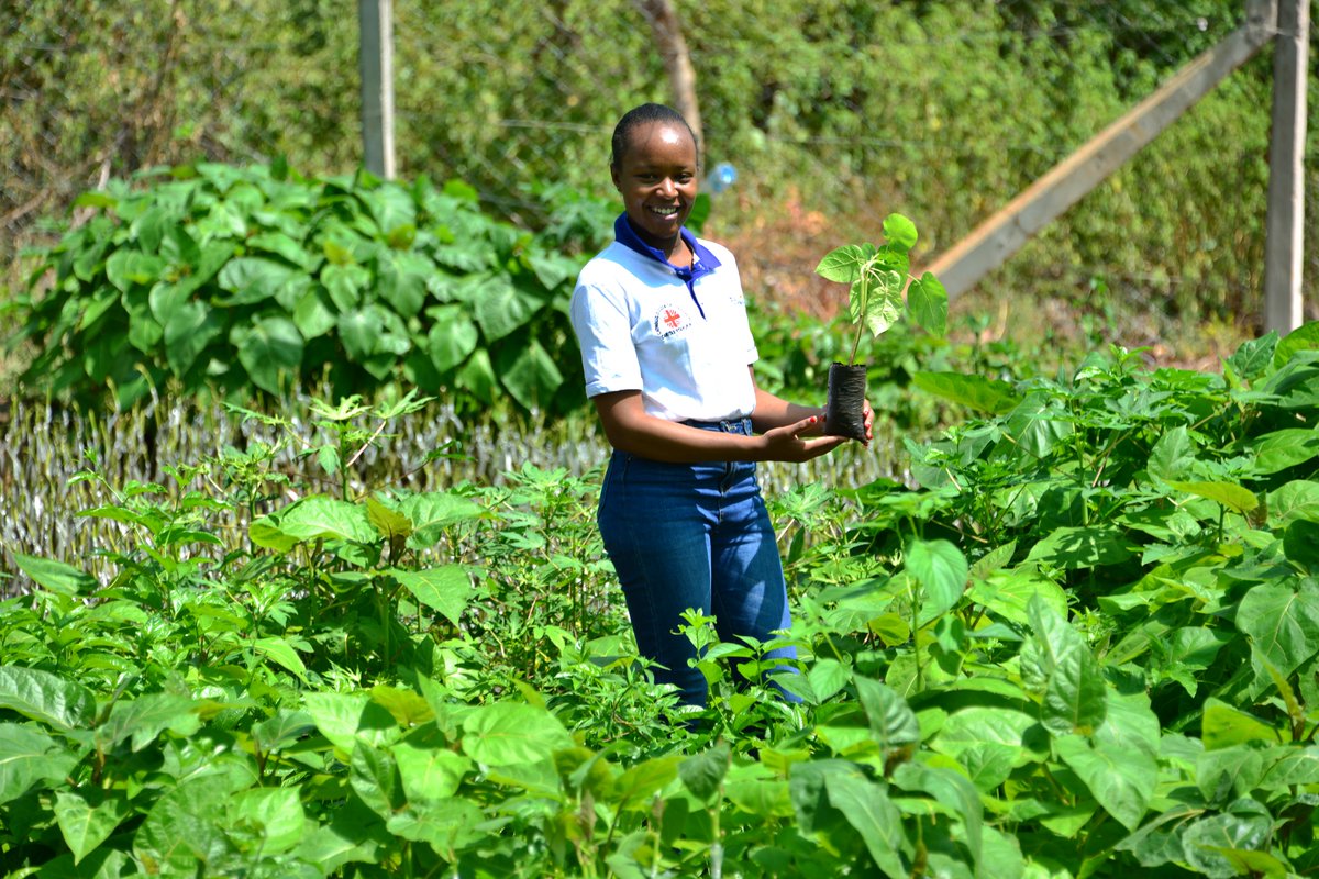 Climate change affects us all, but solutions start locally. 🌍
At Bethel Network, we’re proud to work with dedicated community champions who are taking climate action seriously ,from tree planting to educating others on sustainable practices.
#ClimateActionThursday #BethelNetwork