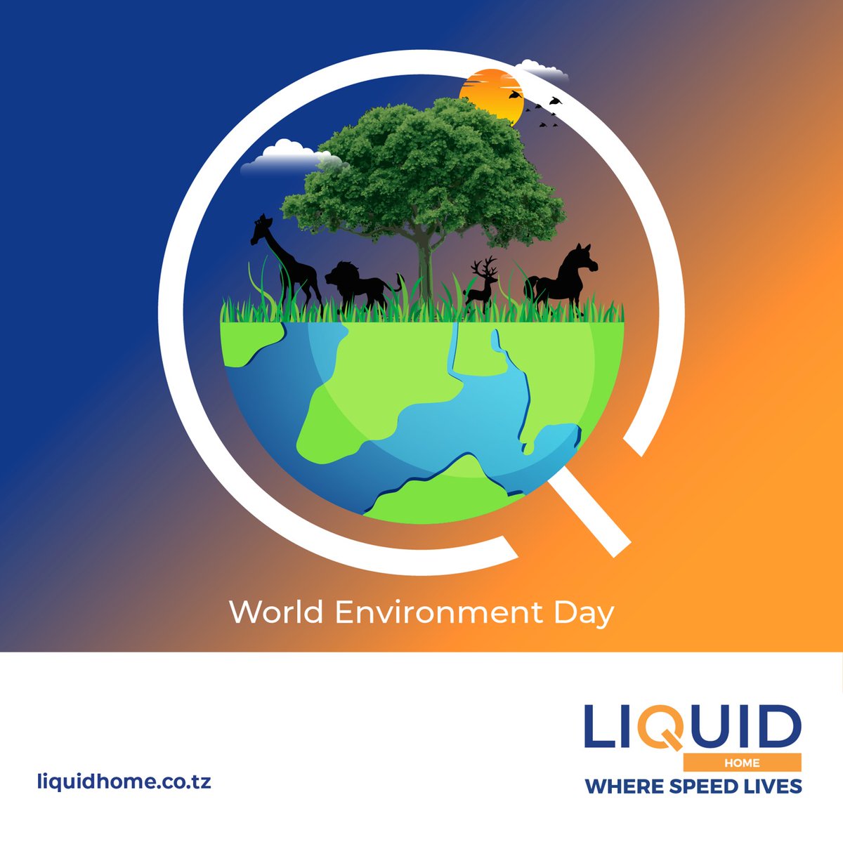 Liquid Home by Liquid IT Tanzania tweet media