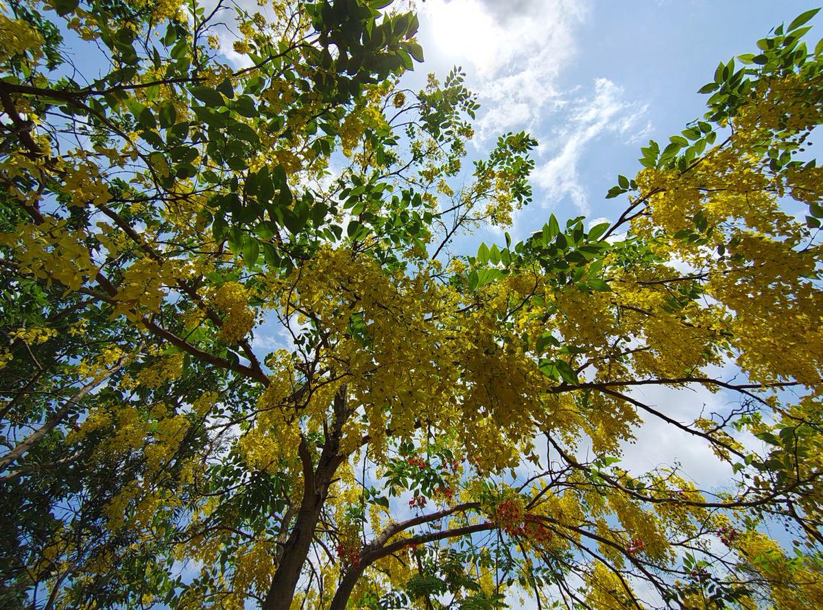 I really want to share some brilliant pictures taken by my sister, while also prompting you to play Pink Paper Play’s game today based on World Environment Day.

pinkpaperplay.in/games/sequence…