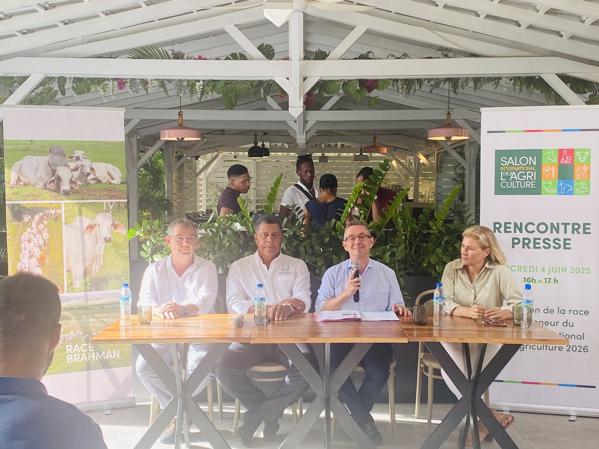 🔴 #SIA c'est officiel Outremers 360 l'avait annoncé en exclusivité, une vache des #Outremer, la race Brahman, (que l"on retrouve en Martinique et Guyane ) sera l'égérie 2026 du <a href="/Salondelagri/">Salon International de l'Agriculture</a>, annonce dévoilée en #Martinique en présence de Jérôme Despey, Président du Sia