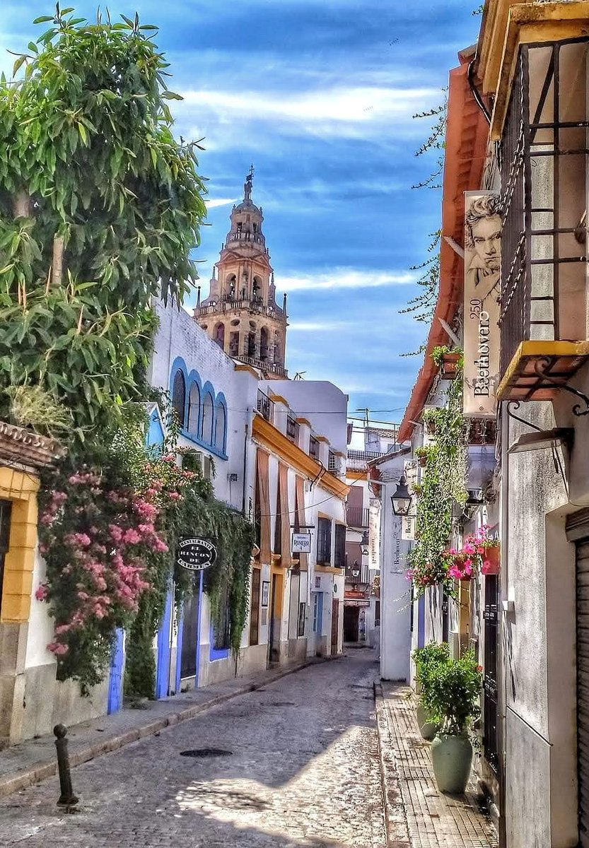 La vida es un constante cambio, todos los dias perdemos algo, para ganar algo nuevo...
Buenos días, feliz jueves 💪