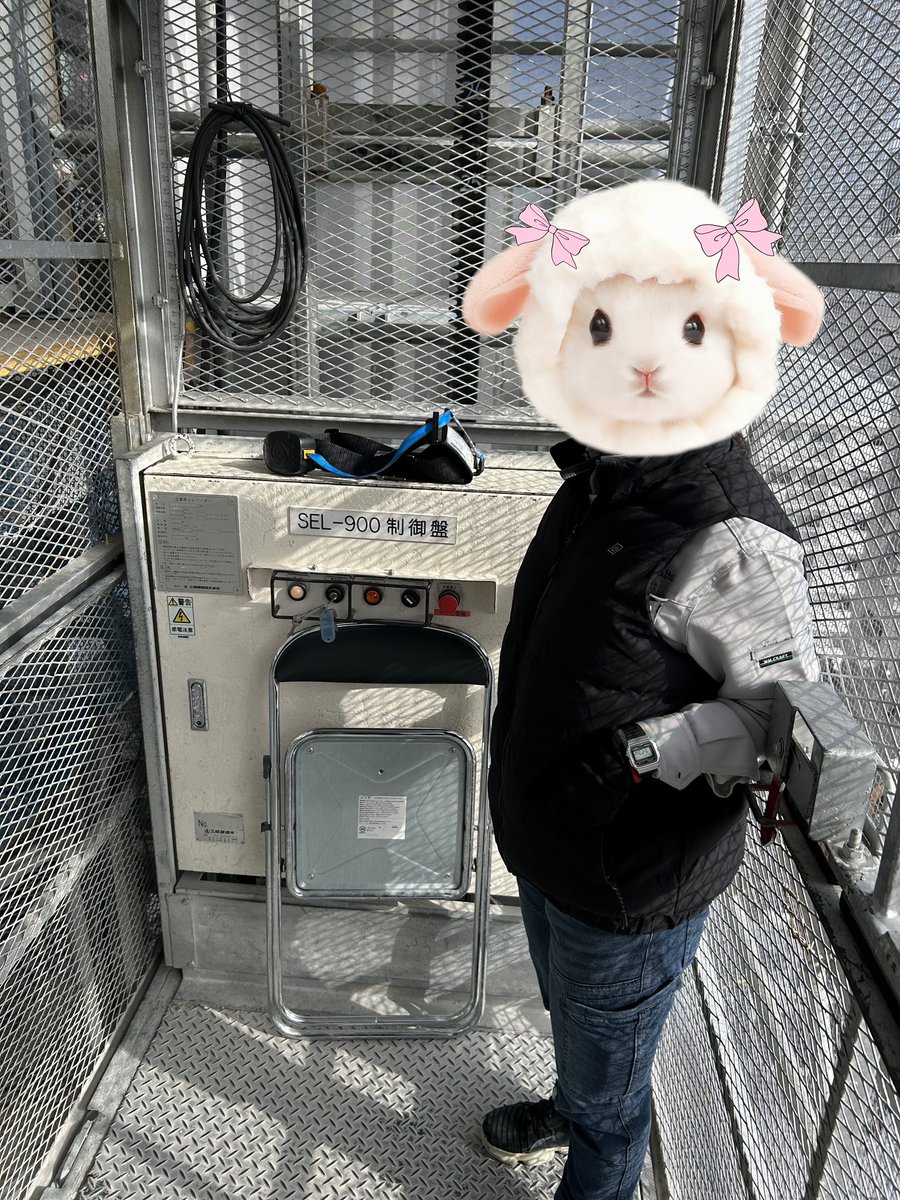 M4youjo's tweet photo. ロングスパン工事用エレベーターを
操作してる弊社スタッフ🐑

この現場では
女性2名が担当しているのですが
このエレベーター15階まで登るそうな…

高所で作業するためのエレベーターなので
よく見ると風通しがよく（？）
かなりスリリング…🥺

ふたりとも
現場ではみんなに頼られている存在です☺️ https://t.co/mhjSfJrir5