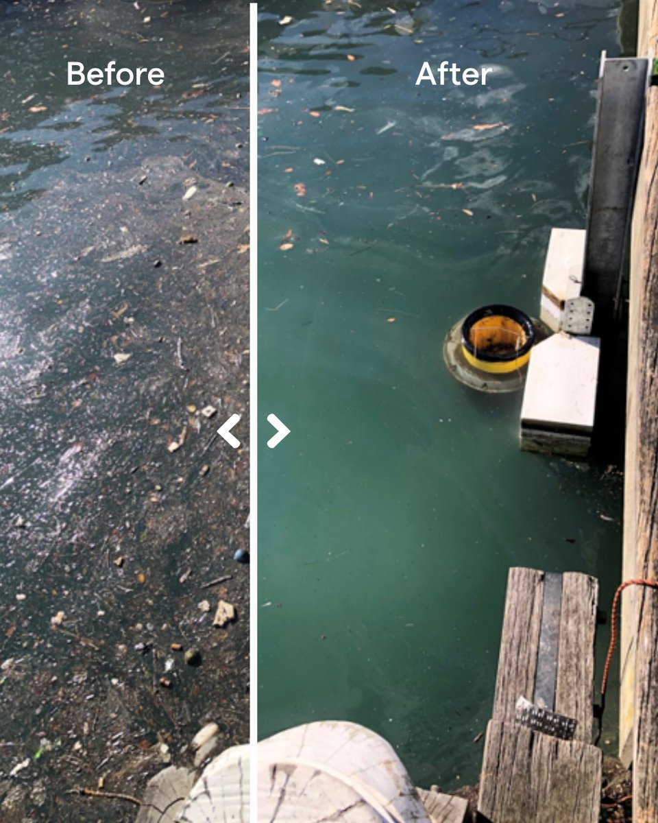 seamuseum_'s tweet image. ✨ Before and after a Seabin cleans waters at the Maritime Museum!

Check out the incredible transformation thanks to our amazing onsite partners at Seabin! 
sea.museum/en/whats-on/ev…

#SeaBin