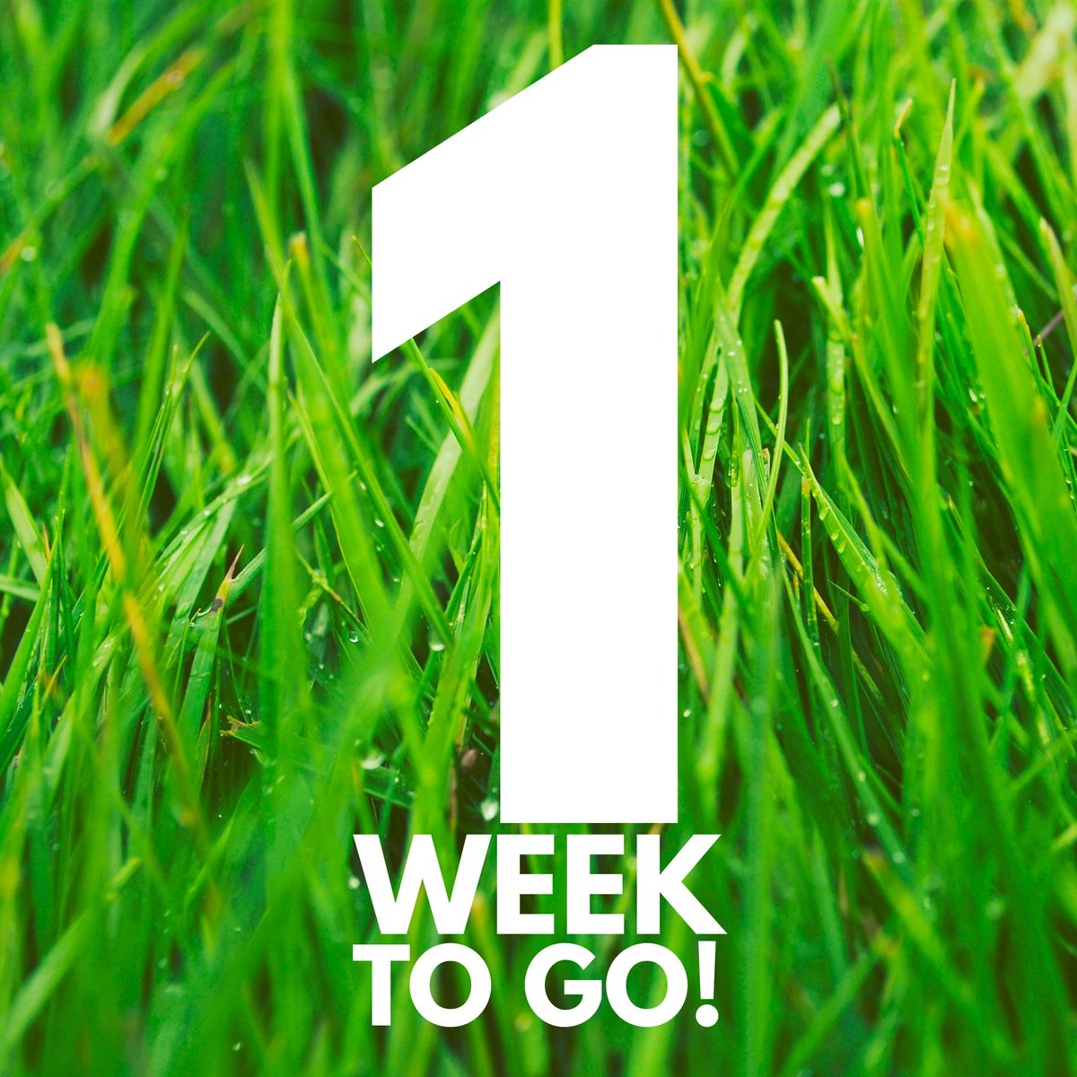 Have you got your ticket yet?

✅ 3 DAY WEEKEND TICKETS &amp; CAMPING 
beardyfolkfestival.co.uk/2025-tickets

✅ DAY TICKETS
beardyfolkfestival.co.uk/2025-tickets
 
Beardy Folk Festival
12th to 15th June 2025
Hopton Court Estate 
Shropshire 

#beardyfolkfestival #shropshire #musicfestival #June2025