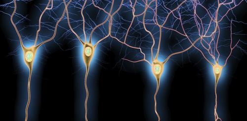 Your brain processes the pleasure of everyday behaviors like eating and drinking similarly to the pleasure of using drugs. Disentangling them requires understanding how memories are formed.go.upcontent.com/4cf0f2d7-cabe-…