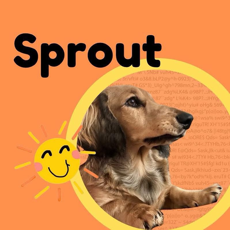 Kay Pace tweet media