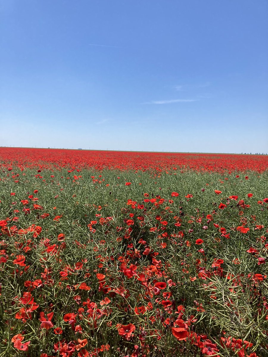 Sebastien Deraeve tweet media