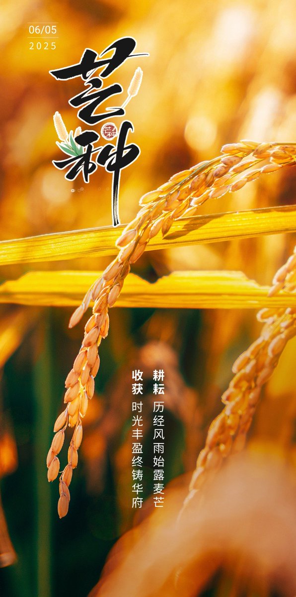 今日芒种，有芒之谷，有物可种。