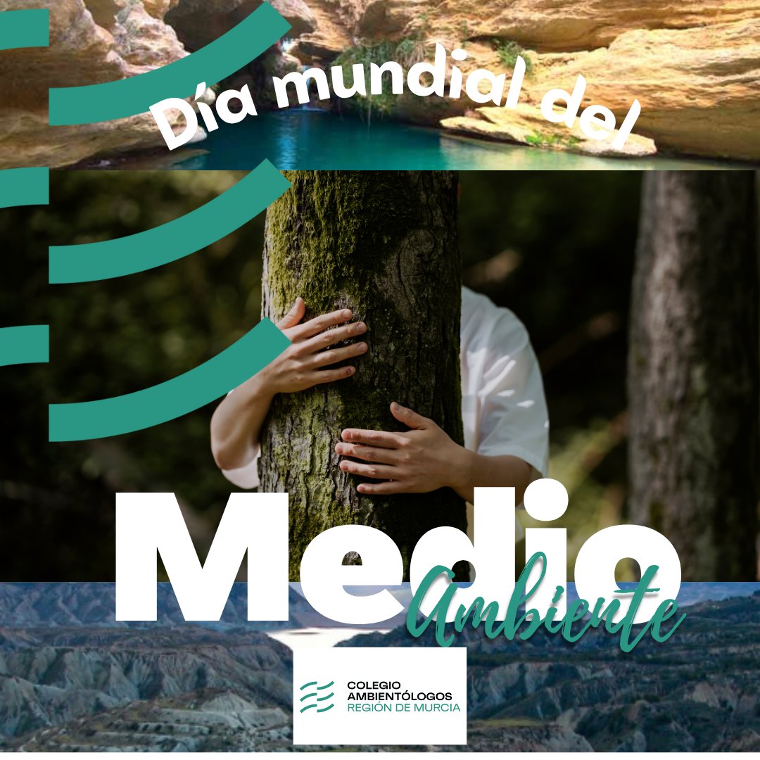 🌍💚 DÍA MUNDIAL DEL MEDIO AMBIENTE 💚🌍
Desde el COLEGIO DE AMBIENTÓLOGOS DE LA REGIÓN DE MURCIA queremos felicitar en este día a todos nuestros colegiados y colegiadas que, con vuestro compromiso y trabajo diario, contribuís a proteger y mejorar nuestro entorno.