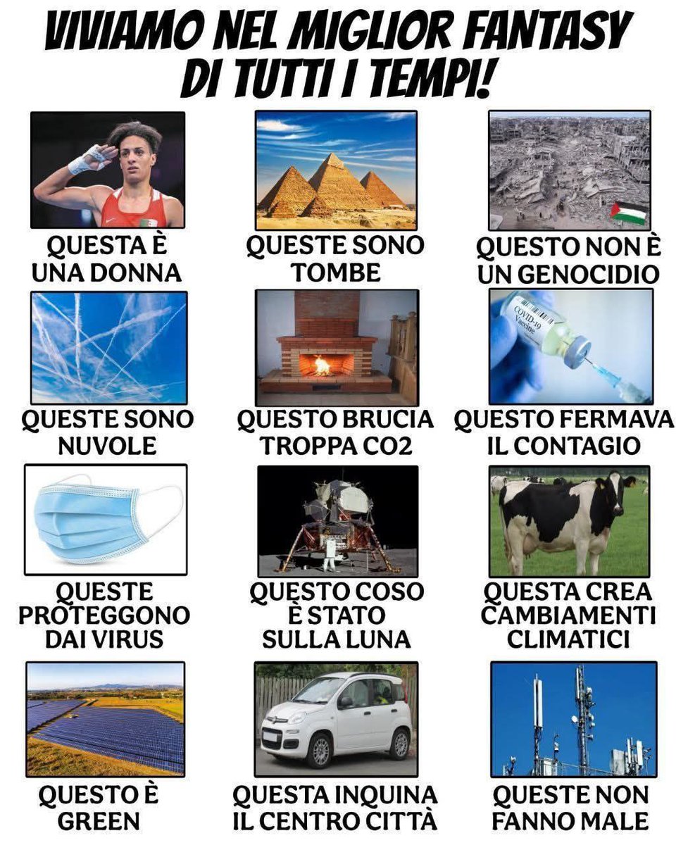 The Truman Show 2025

👇👇👇