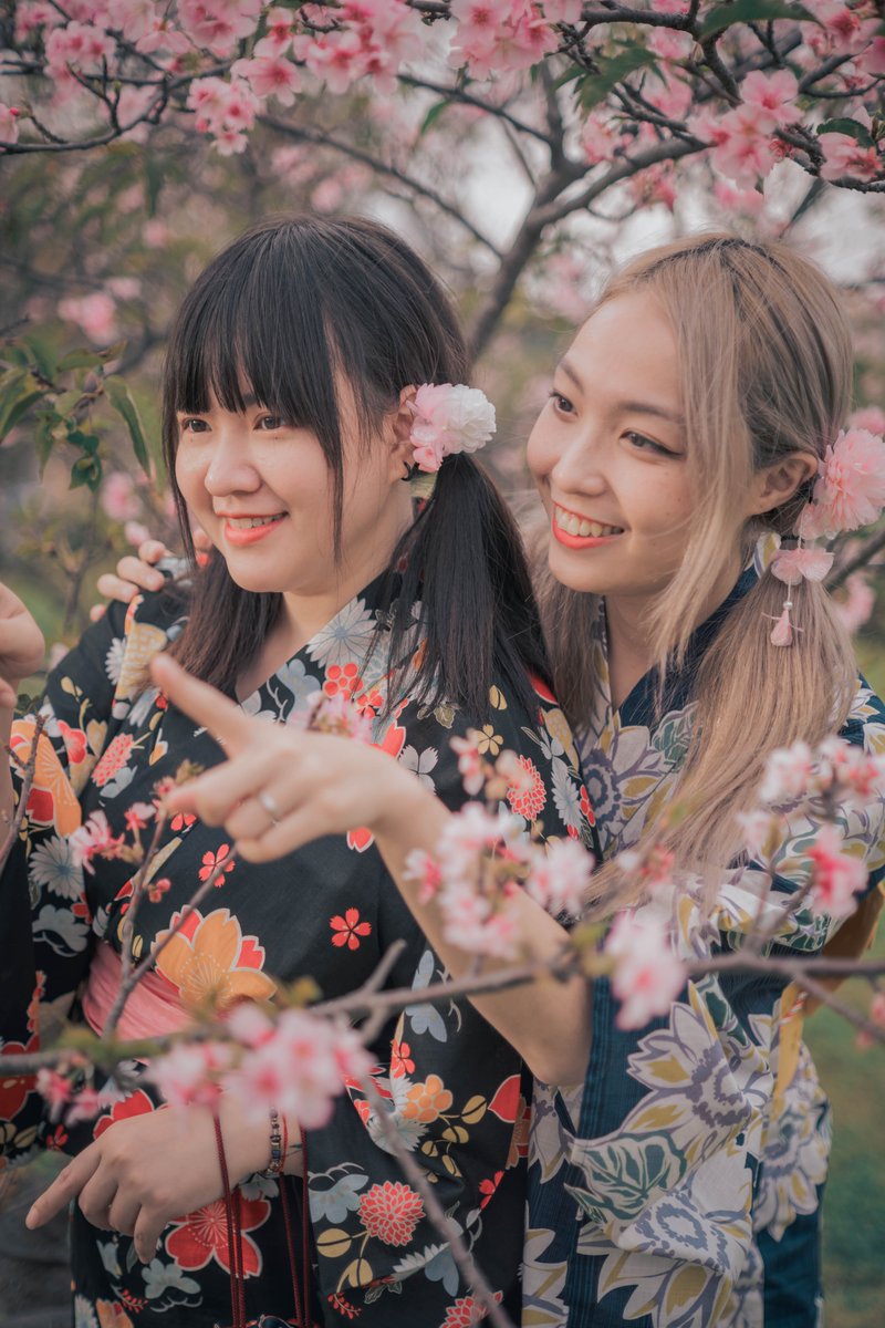 AstrHori's tweet photo. Spring strolls, cherry blossoms, and unforgettable moments — all made better with the AstrHori 50mm F2.0 manual lens. Lightweight, sharp, and always ready to shoot. 📷
Credit: @Kathy
#portraits #portraitshooting  #lightweight #LightweightDesign #manuallens #cherryblossom #sakura https://t.co/EdyiaN24Lh