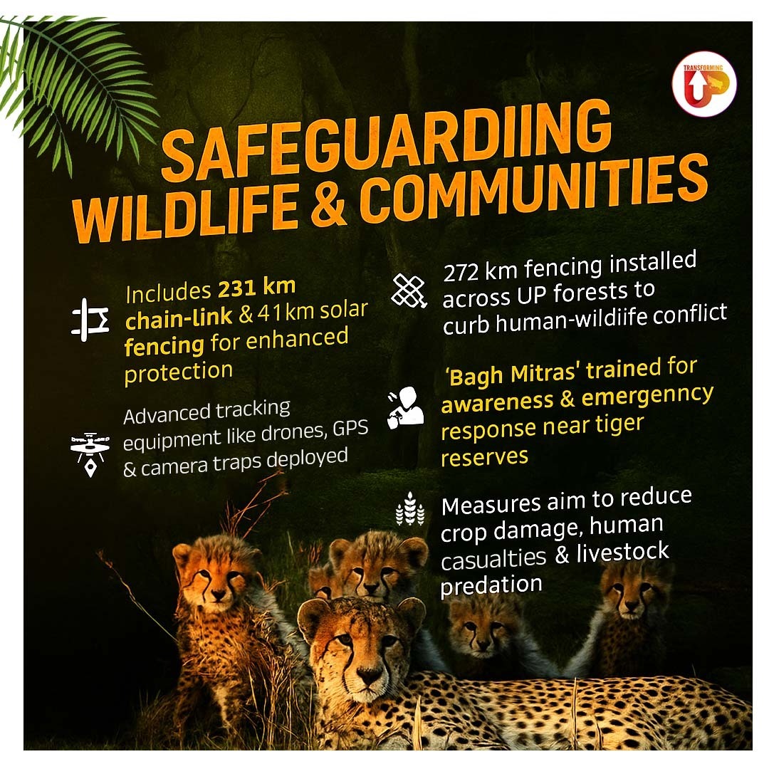 UP has installed large fences to protect wildlife and communities, marking a big achievement in conservation. By using advanced technology and involving the community, they are reducing conflicts between humans and wildlife in UP.

This approach serves as a model for other areas