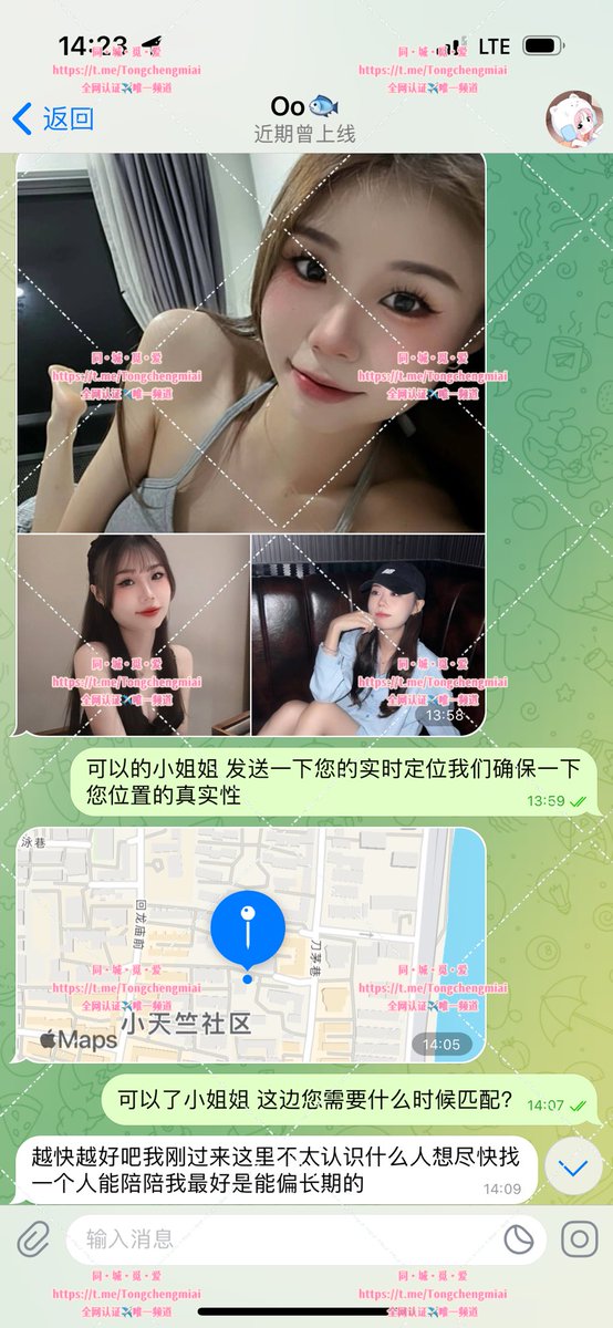 #新认证🔥🔥
杭州甜美小姐姐期望长期🌸
玉足酥胸❗️反差m属性萌妹纸
欲望强烈想被强制满足求饶😍
追求刺激玩法 接受度高🉑️调教 
异地寂寞需要猛男陪伴调情
来一位保密不透露关系的炮友～
需要的兄弟萌赶紧联系💁小姐姐着急🤭
主页置顶链接进✈️群
联系客服💁寻找身边的专属“性福” https://t.co/EXIHH5SUNG