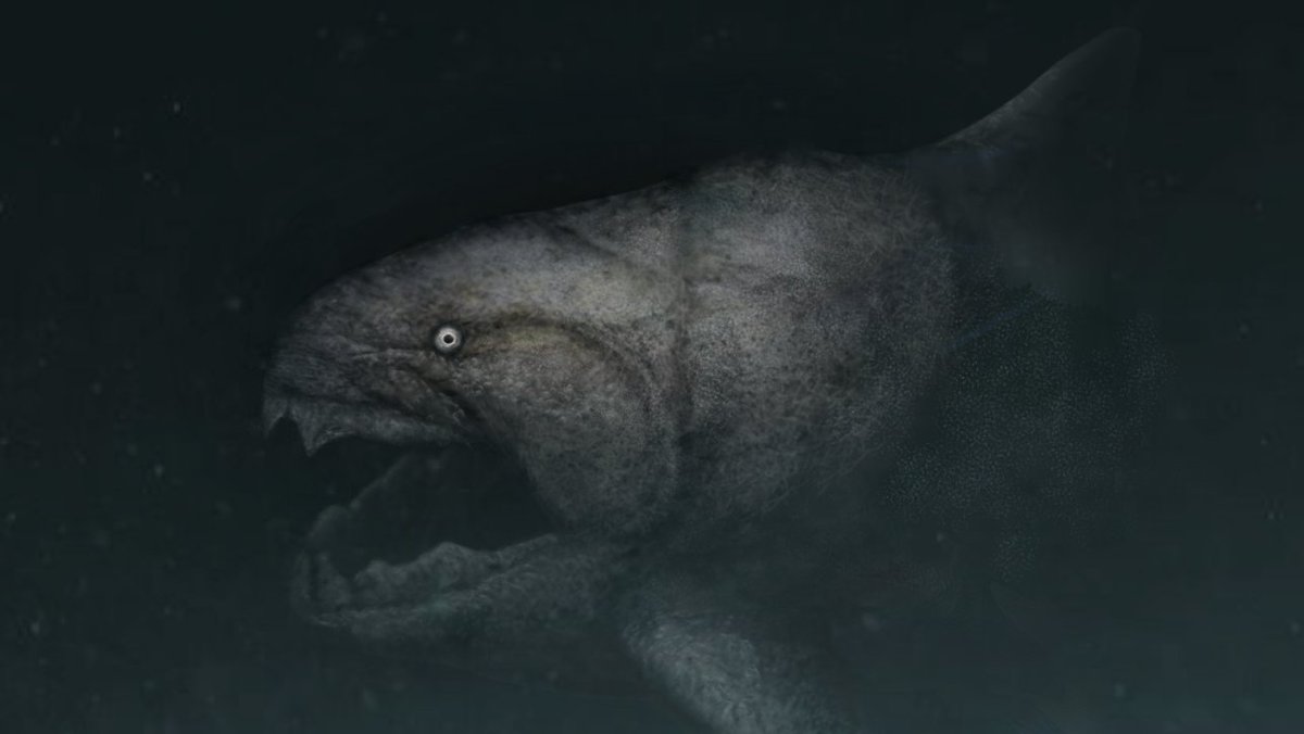 The Dunk
Encounter at night
#paleo #art #digitalart #dunkleosteus 
Commission work