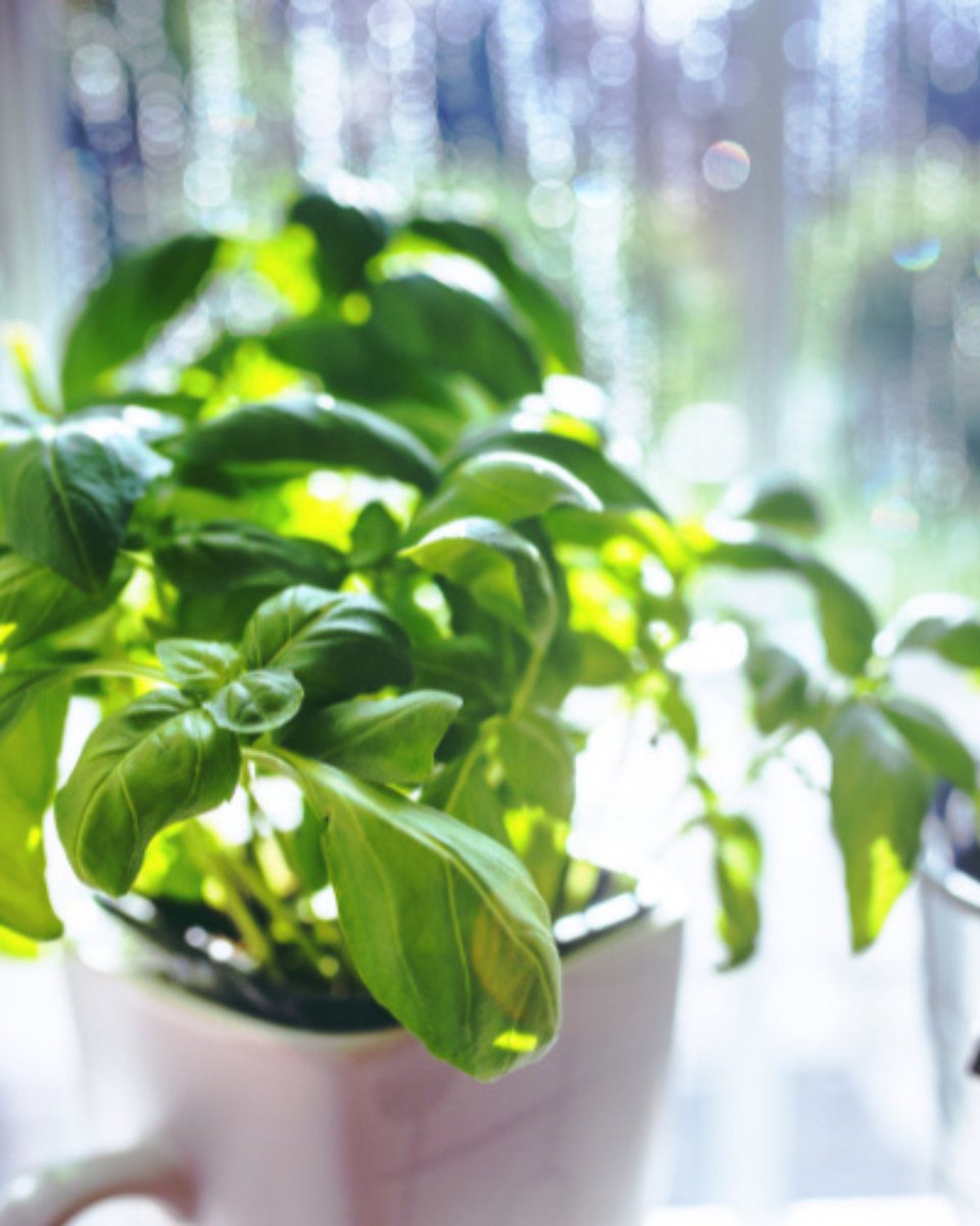 BBCGWLive tweet media