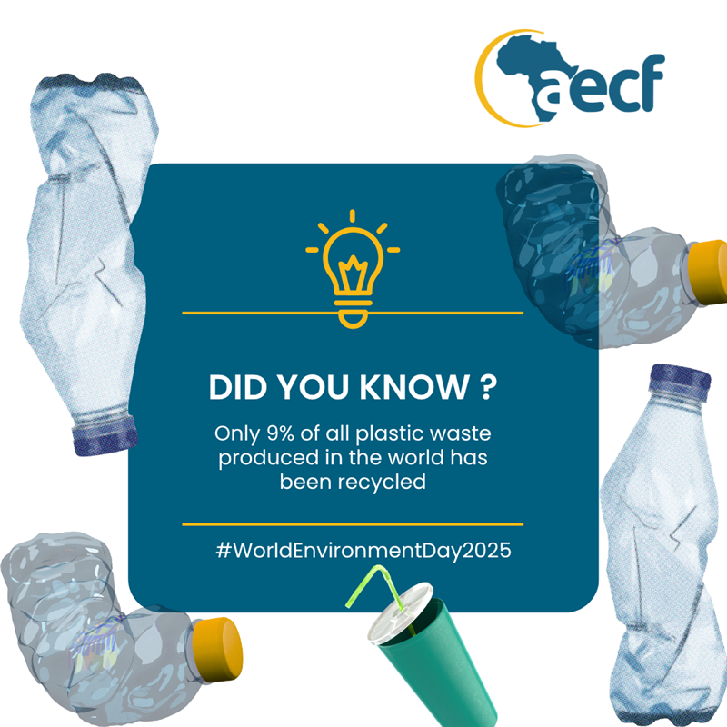 🤔Did You Know?
Only 9% of plastic waste ever produced has been recycled. The rest pollutes land, water, and communities.
On #WorldEnvironmentDay, we highlight how <a href="/AECFAfrica/">AECF Africa</a>-backed ventures like <a href="/TakaTakaSol/">TakaTaka Solutions</a> in Kenya are tackling plastic pollution and building circular