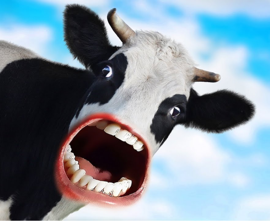 LucyonToken's tweet photo. I know MOO will pump on https://t.co/0KqZvVSt45 

https://t.co/VfRFlC95nv

#Solana #SolanaAirdrop #SolanaAirdrop https://t.co/hp5w13z3Nm