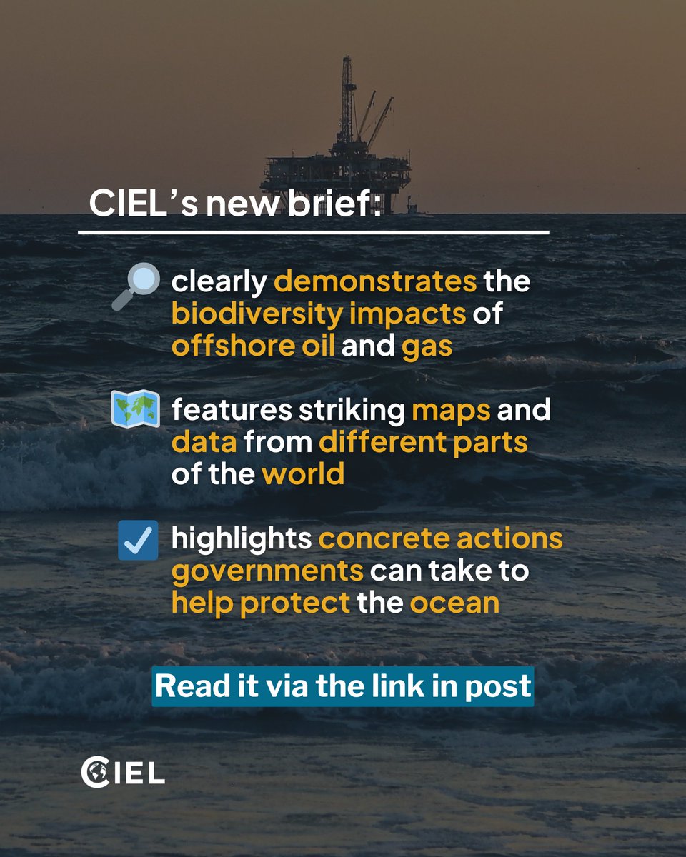 Center for International Environmental Law tweet media