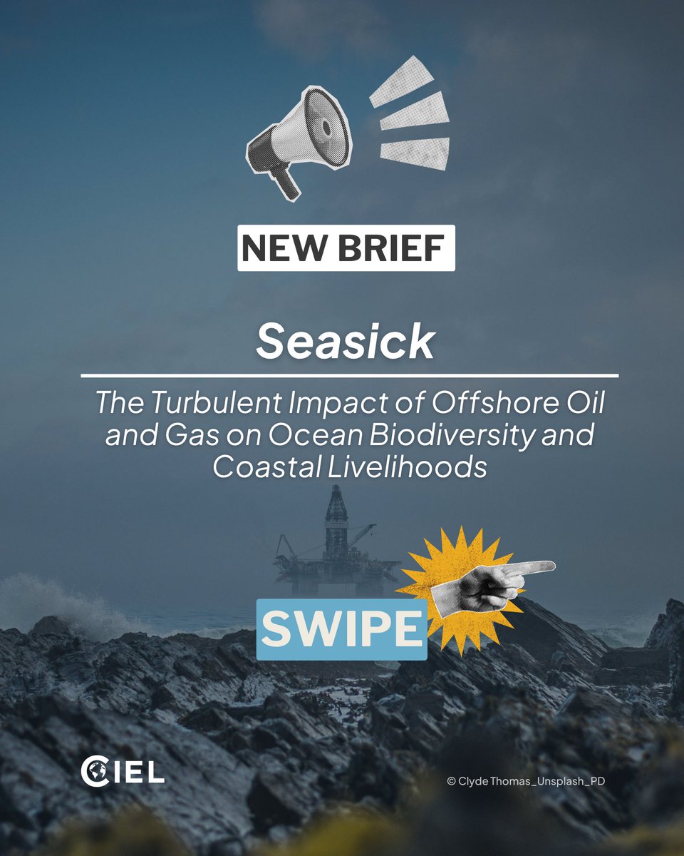 Center for International Environmental Law tweet media