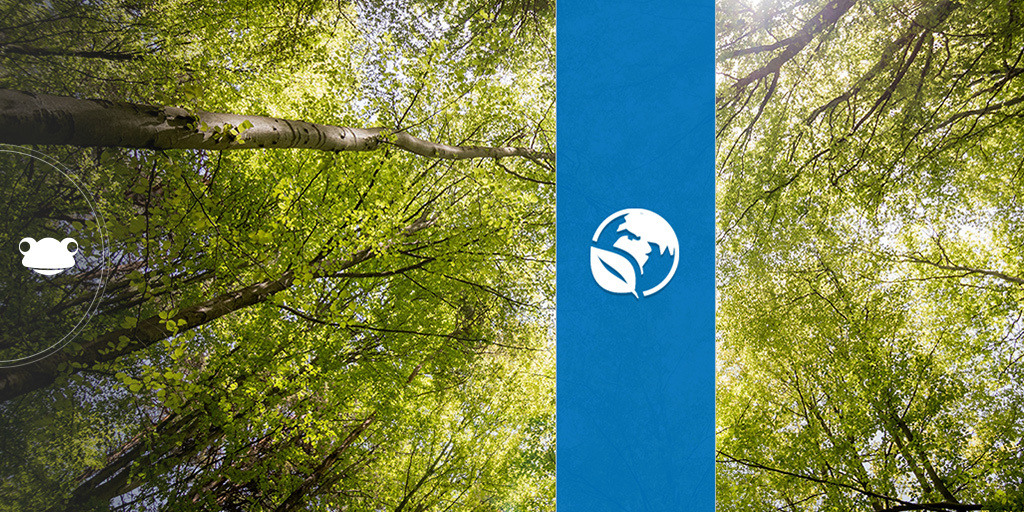 It's World Environment Day today. A chance to think about the amazing world we live in and how we can take care of it. Head over to the FrogStore to download the site we created a few weeks ago for this special day. 
#FrogFamiliy #Education #EdTech #WorldEnvironmentDay