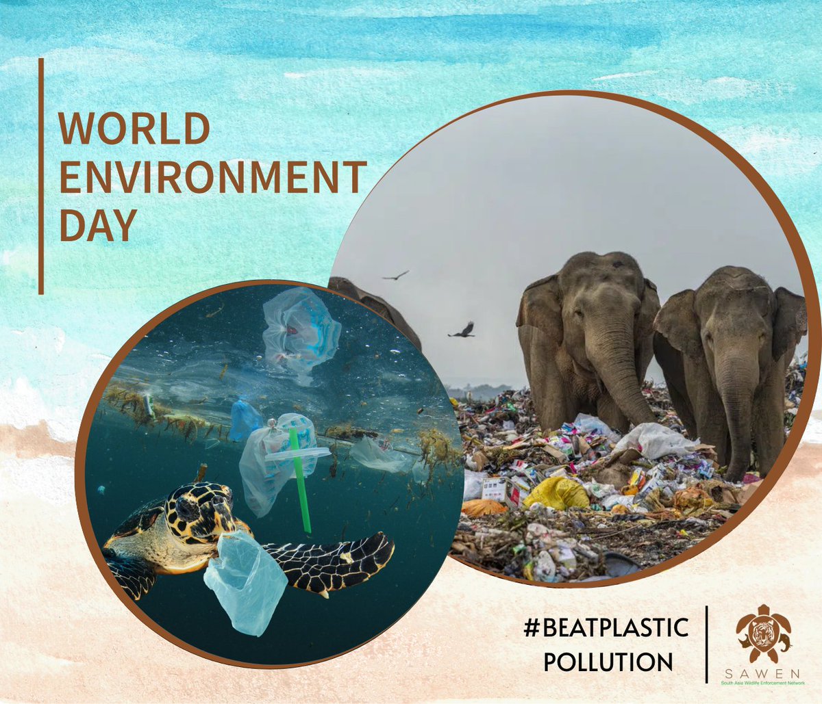 SAWENsec's tweet image. Happy World Environment Day! Plastic pollution harms both marine and terrestrial wildlife, threatening biodiversity and disrupting ecosystems. We stand united with the global community in the fight against plastic pollution through sustainable actions and responsible choices.