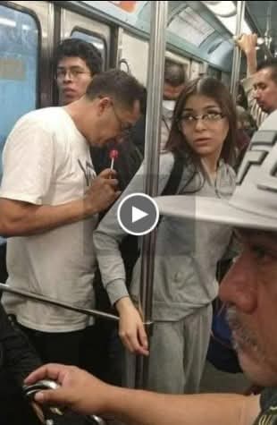 lexitorial tweet media