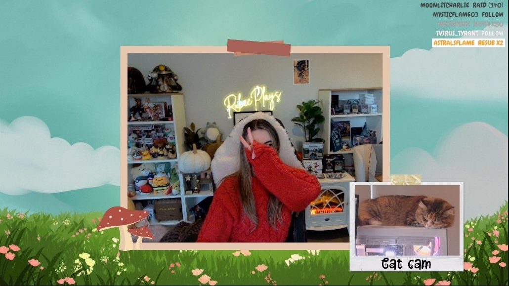 Upgraded cat cam for stream tonight! 

See you in an hour! 🥰
