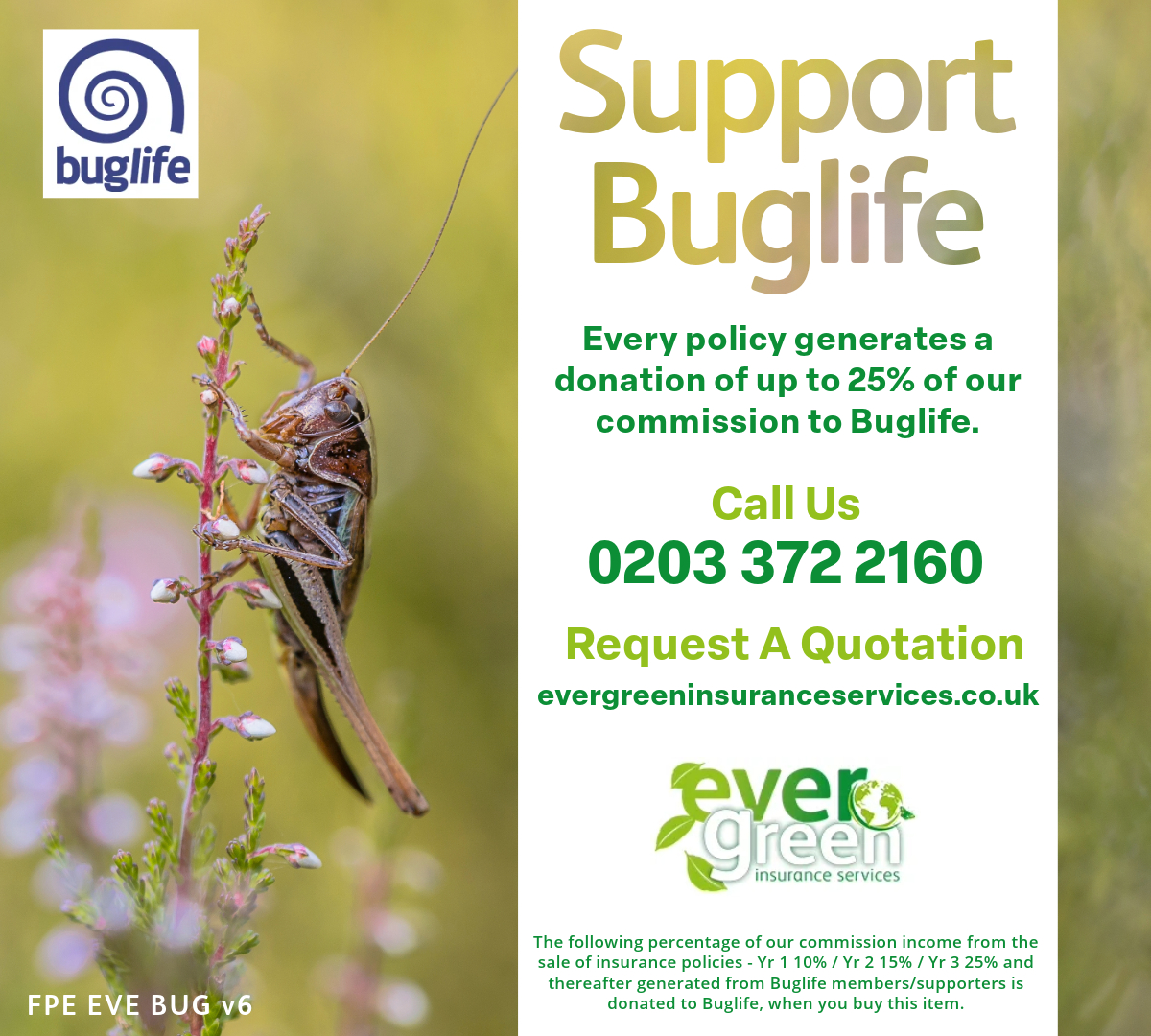 This June, support <a href="/Buzz_dont_tweet/">Buglife</a> by taking out a policy with Evergreen! Saving bugs and pollinators that power our planet. 🐞🌱 #Insects #Biodiversity #Pollinators #SaveNature