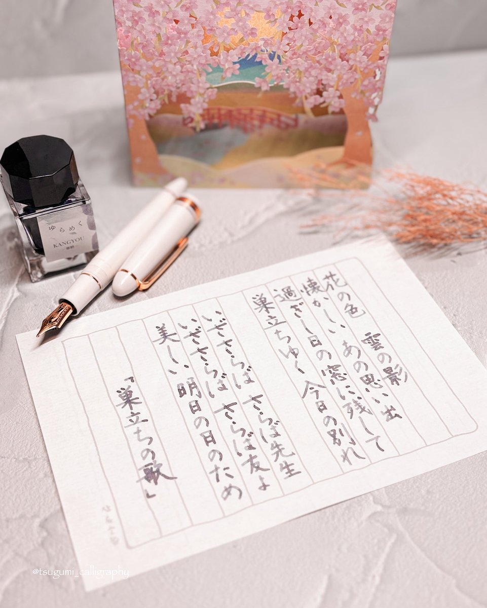 写真が少し復活してきた