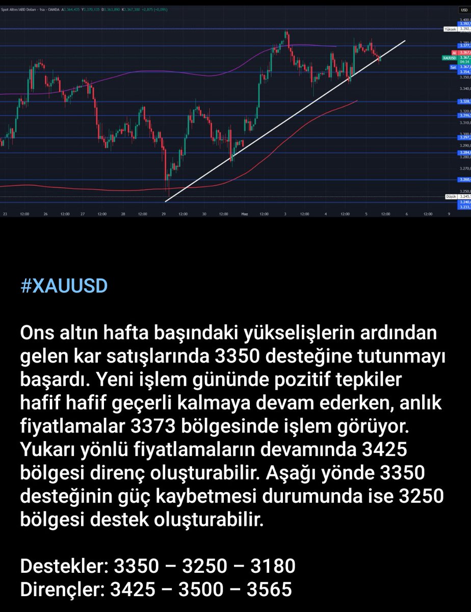 Seda Taşkın tweet media