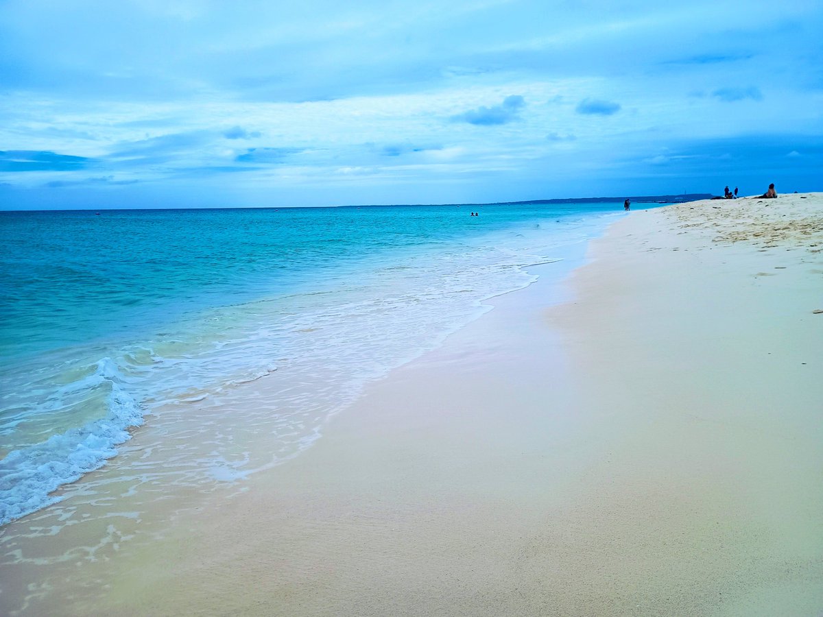 この海大洗にもほしい