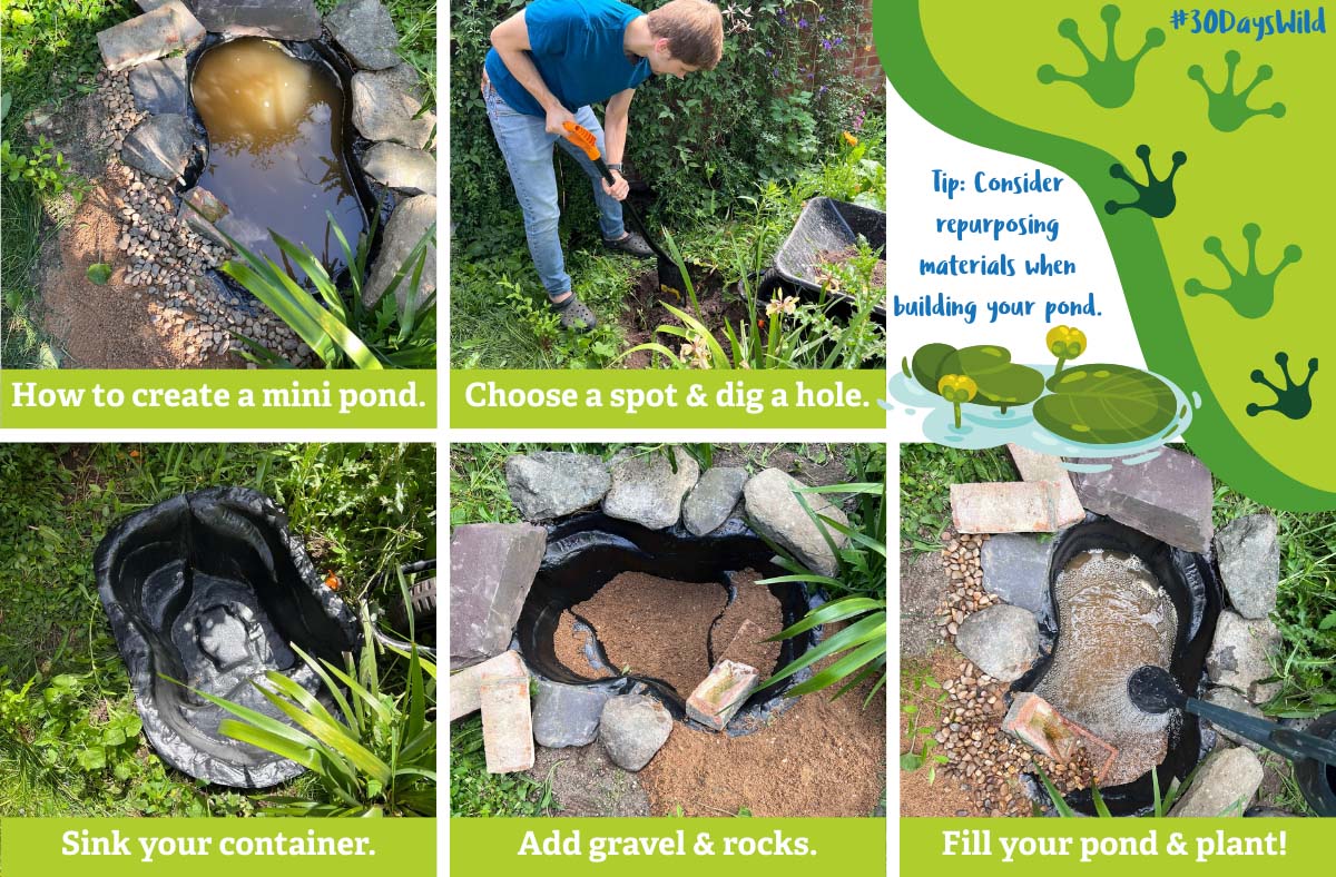Turn your garden into a wildlife spa this #30DaysWild!  🐸✨💚

Welcome nature into your garden or outdoor space. With just a few plants, some rainwater, and a little creativity, you’ll have frogs hopping by in no time.

👇 Guide in the comments.
