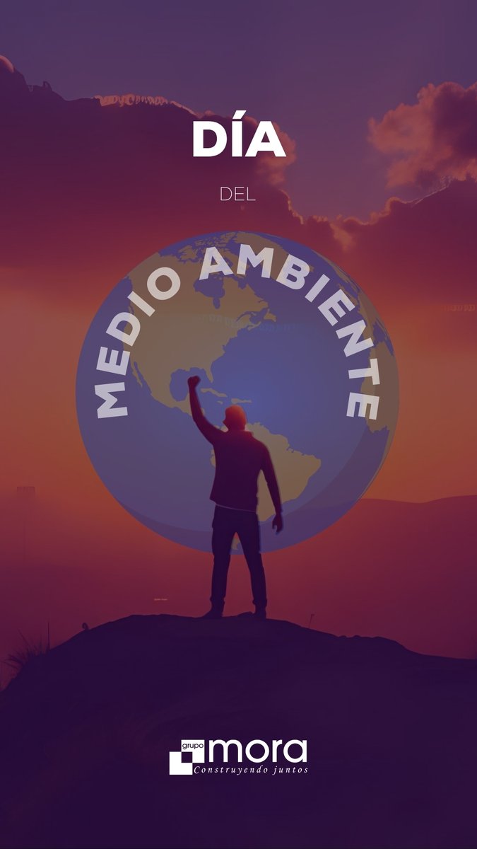 Grupo Mora tweet media