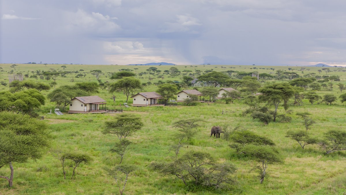 BontelSafaris's tweet photo. Sametu Camp offers unmatched intimacy with nature.
Think roaring lions by night, endless plains by day, and luxury in between. πβ¨
This is not just a safariβit's Sametu.
#Serengeti #SametuCamp #bonteladventures #TanzaniaSafari https://t.co/NMij3LW6U8