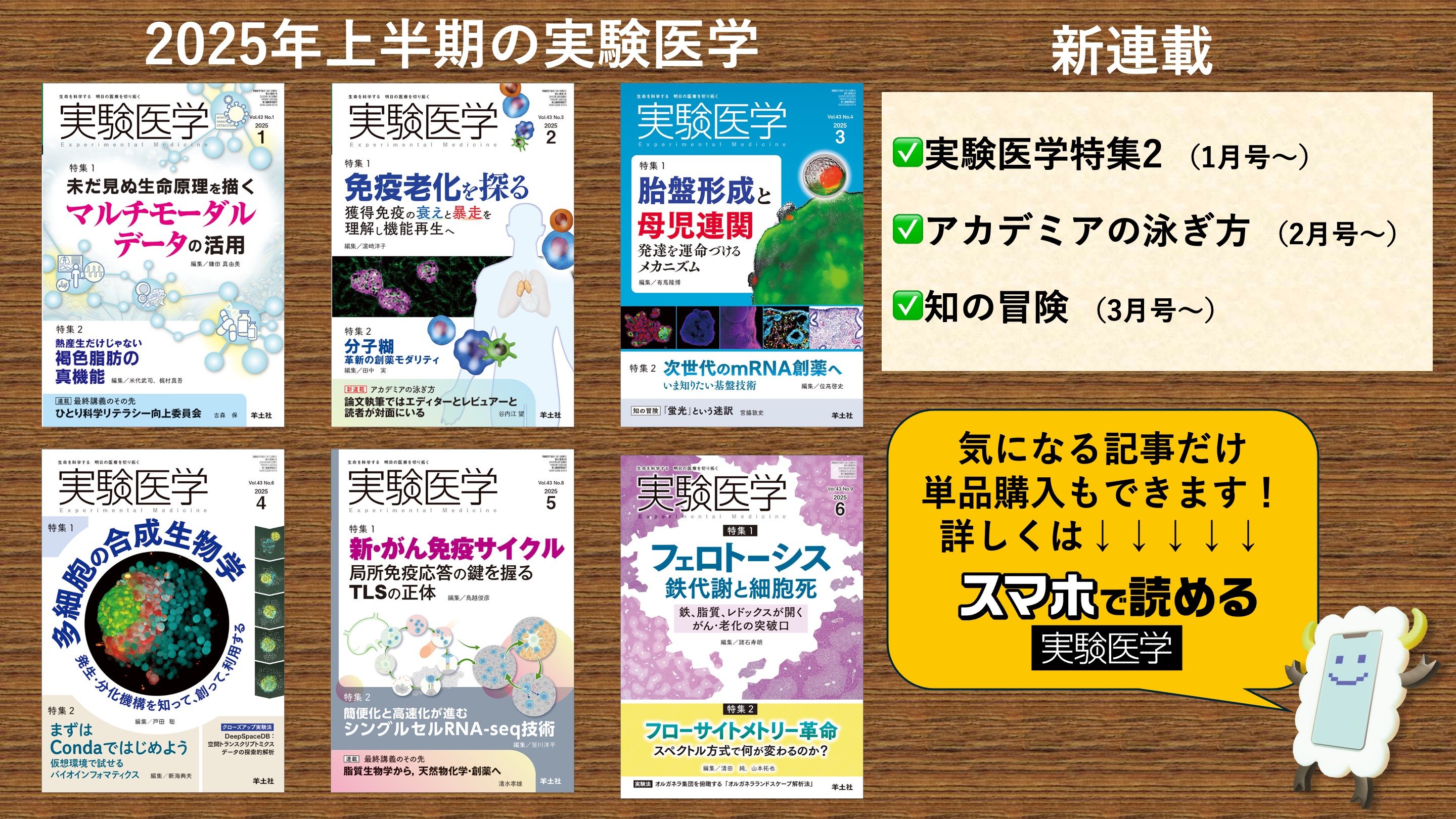 おすすめ本－実験医学 増刊 (2024年)