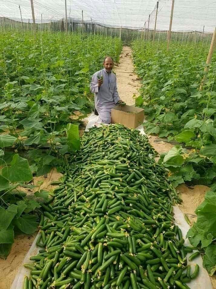 Happy Thursday afternoon 😊