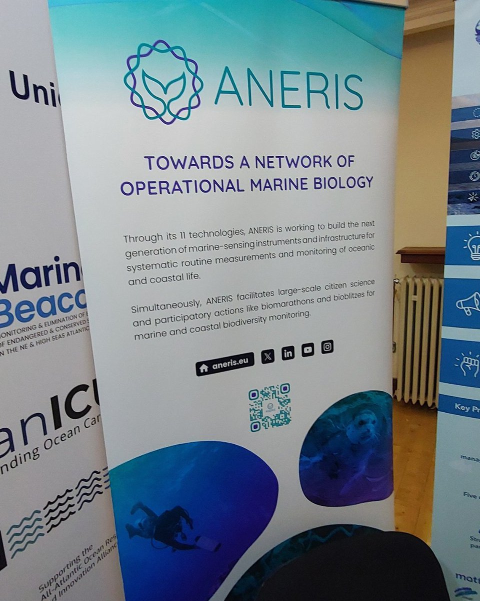ANERISproject's tweet image. 🌊ANERIS participated in #EMD2025 with beautiful sea visualisations and banners. 🪼
The display effectively showed the project’s work and objectives, engaging attendees and highlighting ANERIS’s contribution to advancing #marine #research and #sustainability. 🪸