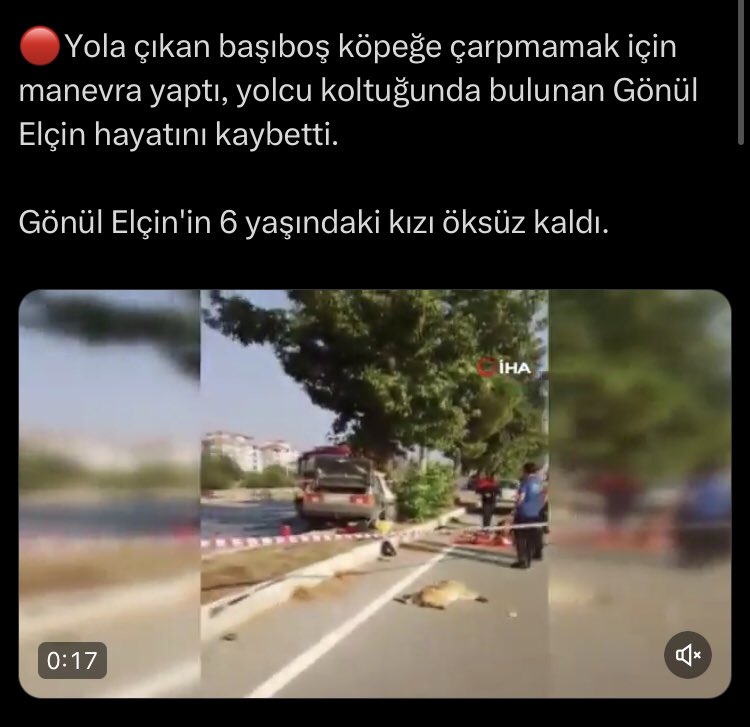 Hız yaparak ölmenize müsade edemeyiz fakat köpek çıkarsa şansınıza, karışmayız.