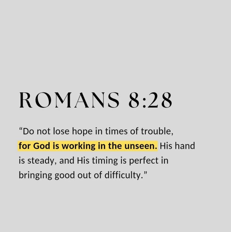 Bible 365 (@bible365_) on Twitter photo 