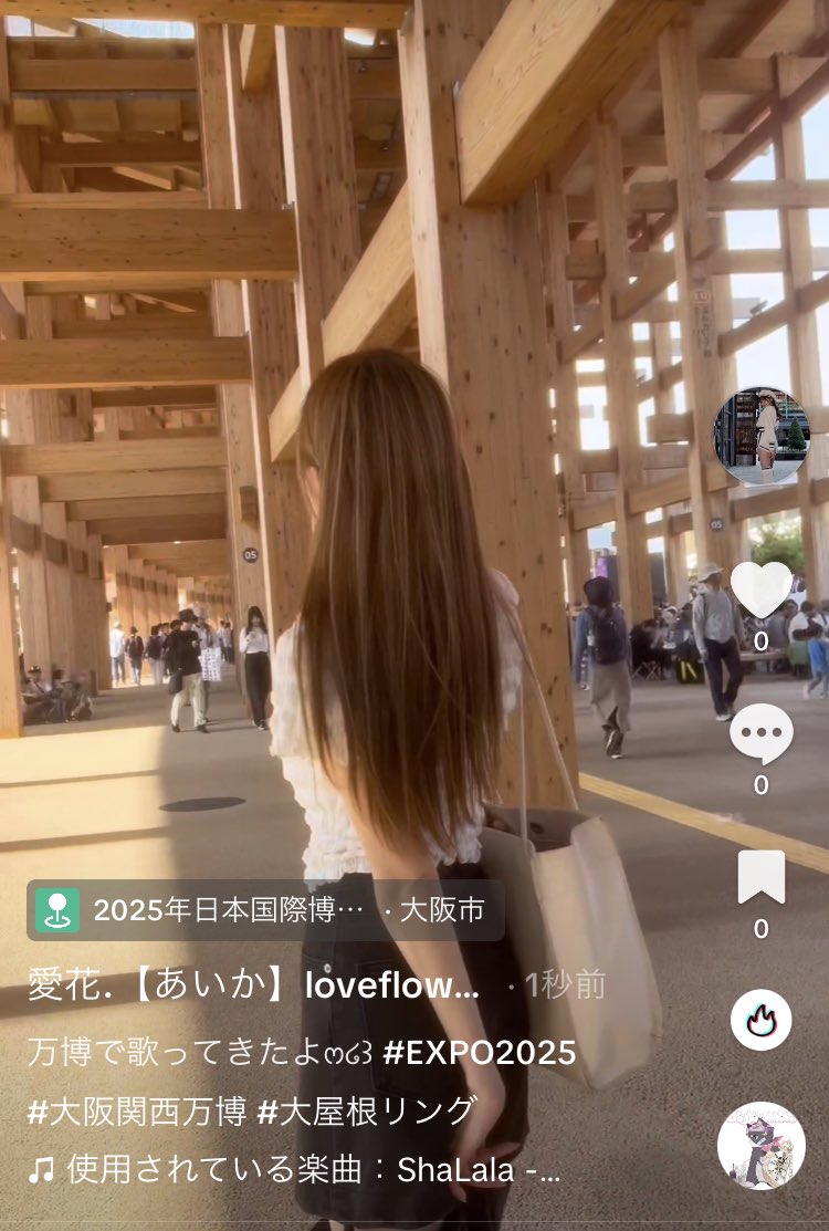 🌙🌹#愛花TikTok 更新 #260💃🏻🎤

／
#大阪関西万博
#大屋根リング
撮ってきたよ✨
＼

vt.tiktok.com/ZSkhLtwEG/

crescentの花をSNSで拡散🔥
↓

TikTokの投稿に
・いいね
・コメント
・セーブ
・TikTok右下を押してから
シェア＆再投稿

みんなの協力で
おすすめに載せてください✊✨