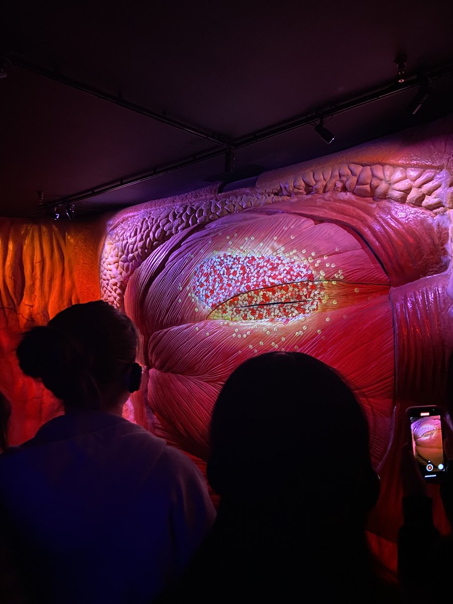 OHS Co-Curriculum tweet media