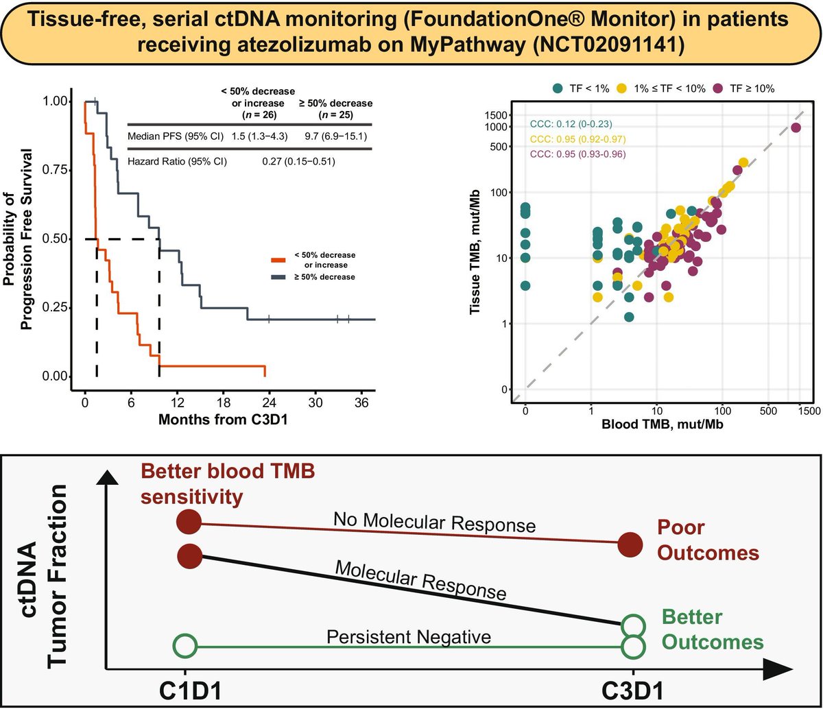 Molecular Oncology (@moloncology) on Twitter photo Circulating tumor DNA monitoring and blood tumor mutational burden in patients with metastatic solid tumors treated with atezolizumab
👉 buff.ly/aVjT1No
🖊️ <a href="/CharlesSwanton/">Charles Swanton</a> <a href="/DavidRSpigel/">David R. Spigel, MD, FASCO</a> <a href="/HTukachinsky/">Hanna Tukachinsky</a> <a href="/agasco/">Amaya Gascó MD PhD</a>
#ctDNA #Metastasis #Atezolizumab Circulating tumor DNA monitoring and blood tumor mutational burden in patients with metastatic solid tumors treated with atezolizumab
👉 buff.ly/aVjT1No
🖊️ <a href="/CharlesSwanton/">Charles Swanton</a> <a href="/DavidRSpigel/">David R. Spigel, MD, FASCO</a> <a href="/HTukachinsky/">Hanna Tukachinsky</a> <a href="/agasco/">Amaya Gascó MD PhD</a>
#ctDNA #Metastasis #Atezolizumab